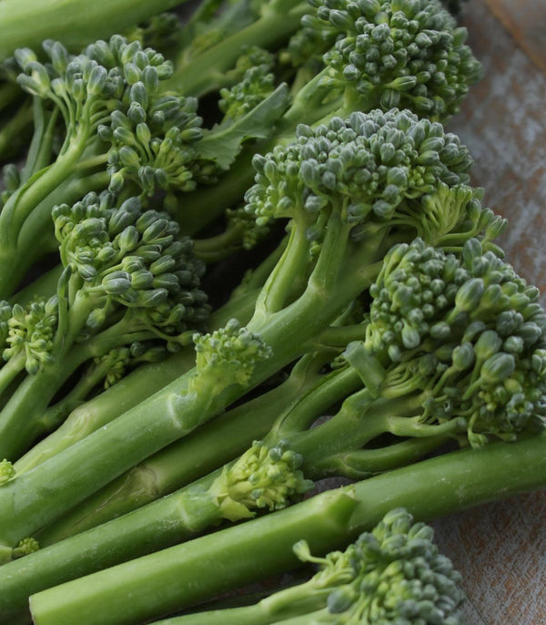 Broccoli Green Sprouting Calabrese